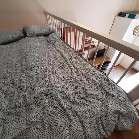 Krotkoterminowy Kat * Wroclaw