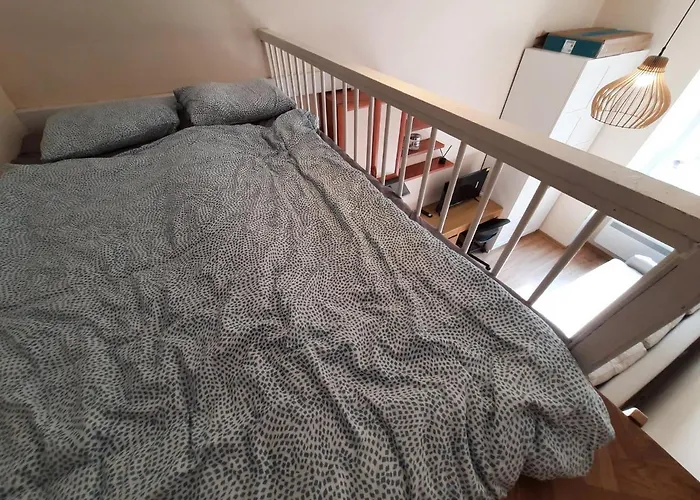 Krotkoterminowy Kat * Breslavia